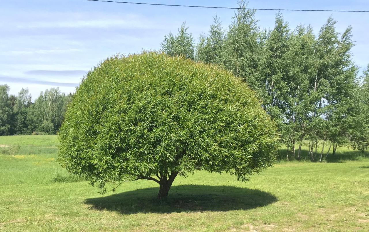 Melderi Villa Rēzekne Exteriör bild